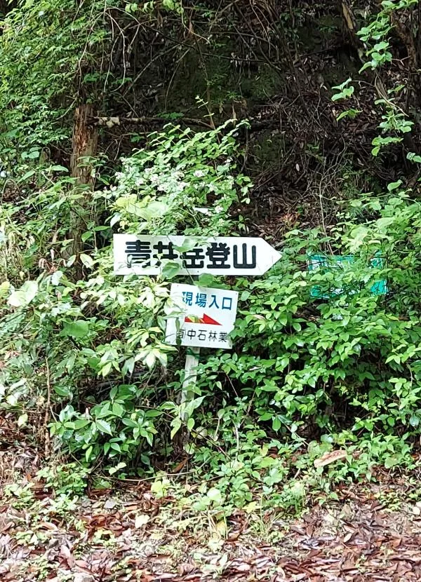 地図1
