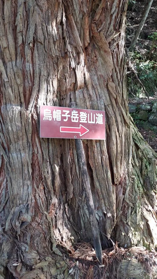 地図1
