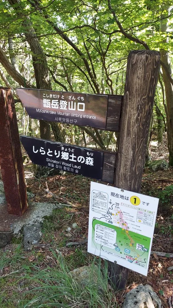 地図1