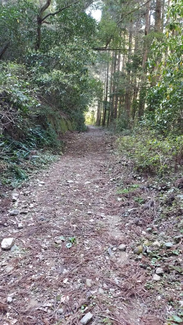地図2