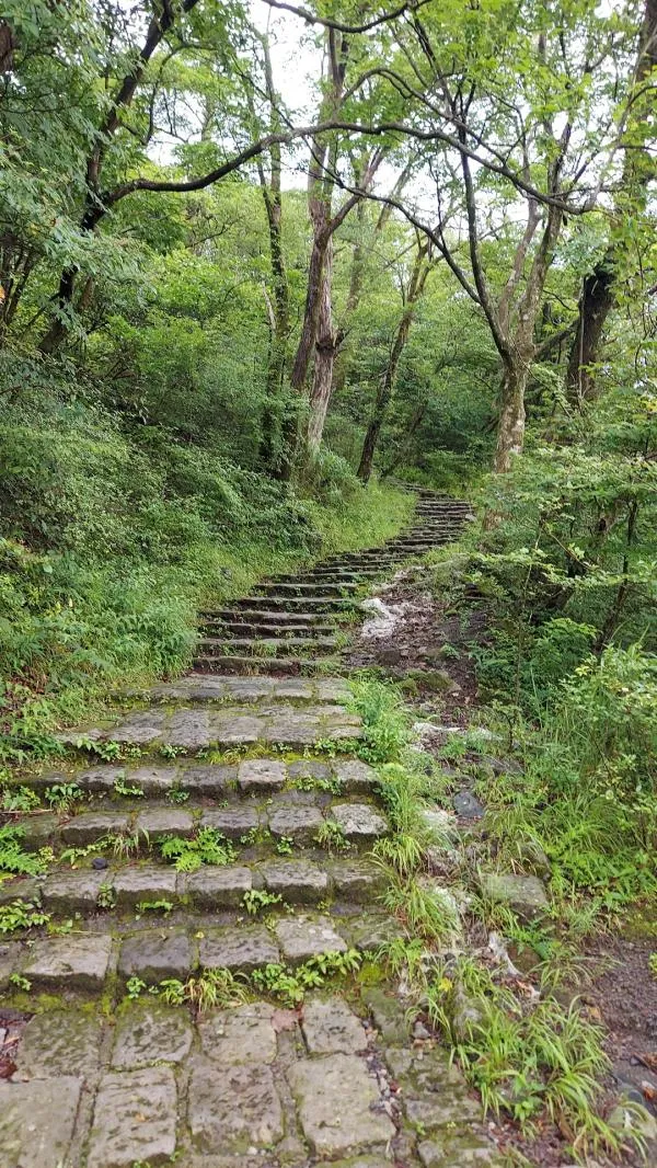 地図2