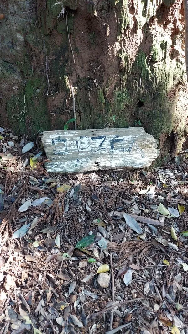 地図2