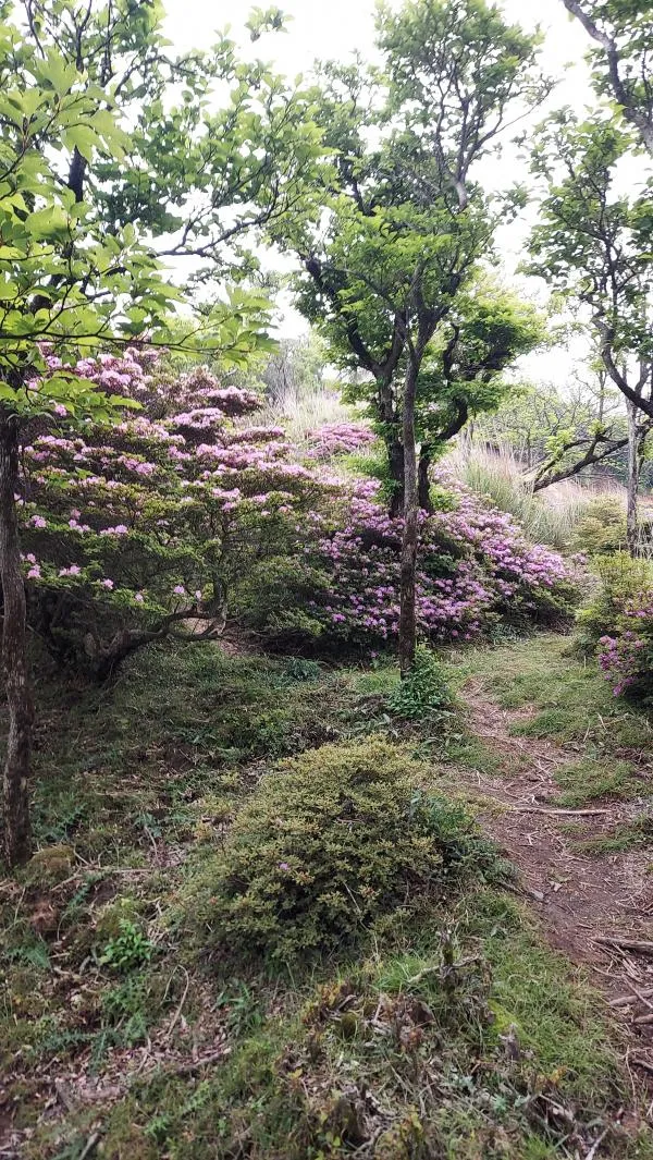 地図2
