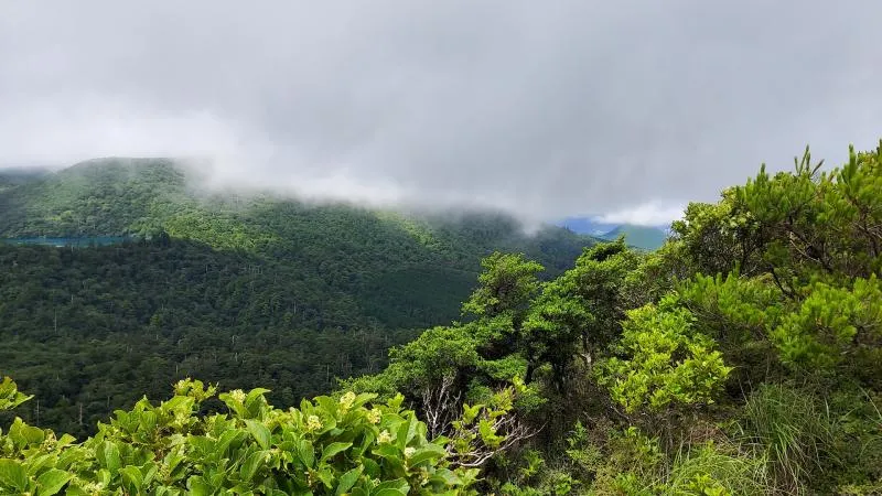 甑岳