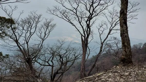 夷守岳