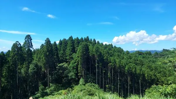 高尾山