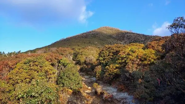 市房山