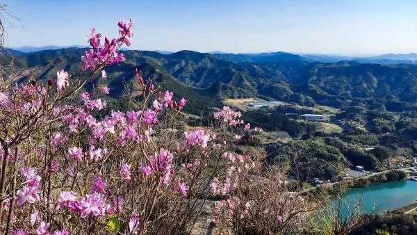 冠岳