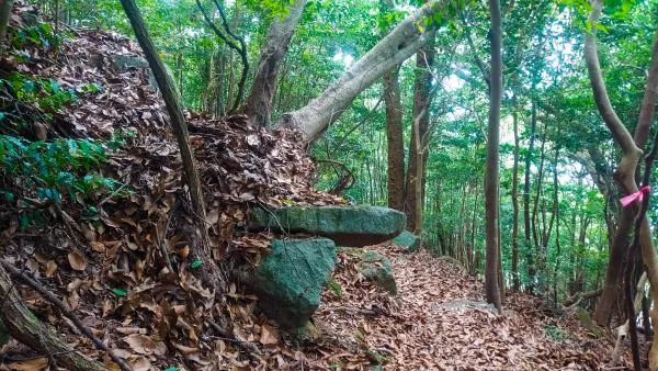可愛岳