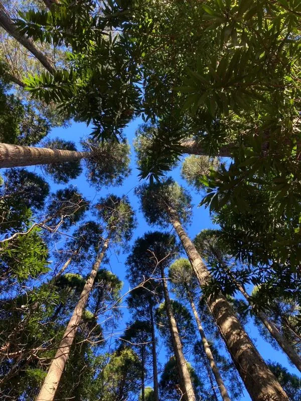 双石山 1