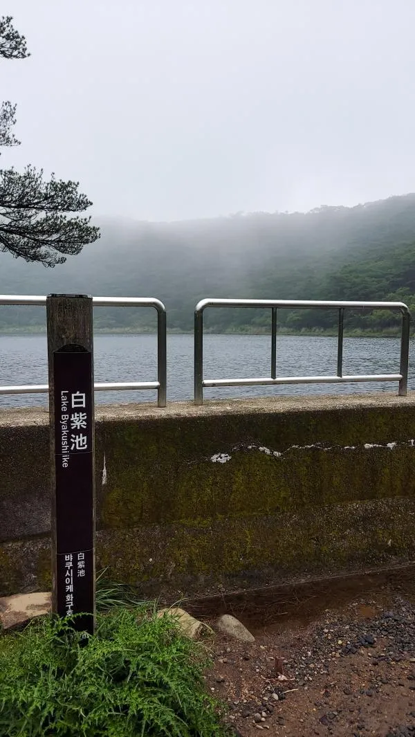 白鳥山 1
