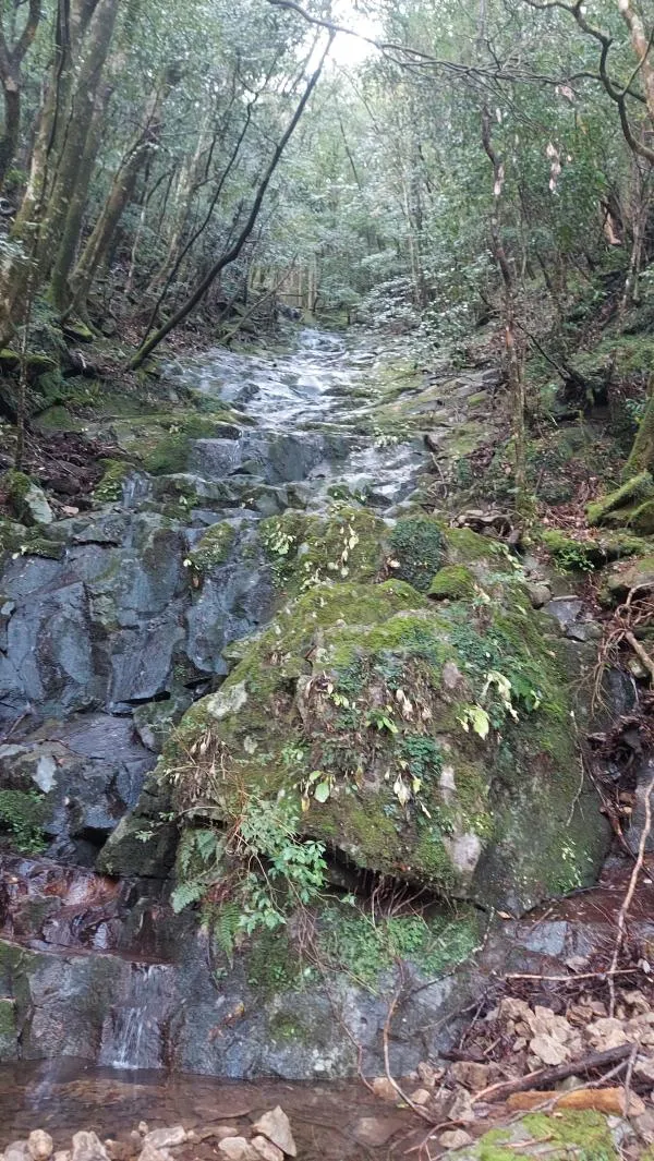 尾鈴山 1