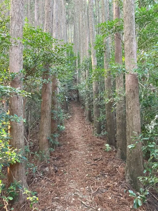 斟鉢山 1