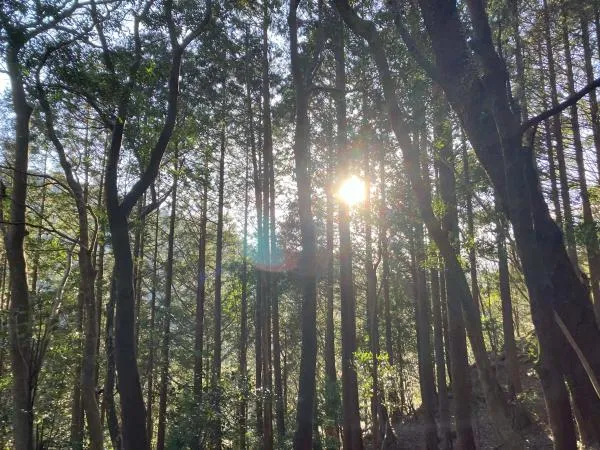 式部岳・掃部岳 1