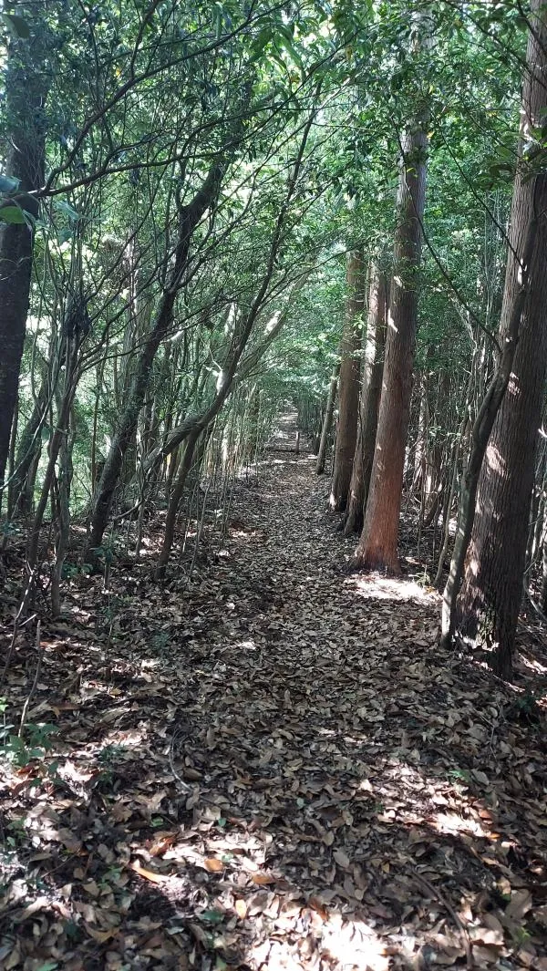 牛の峠 1