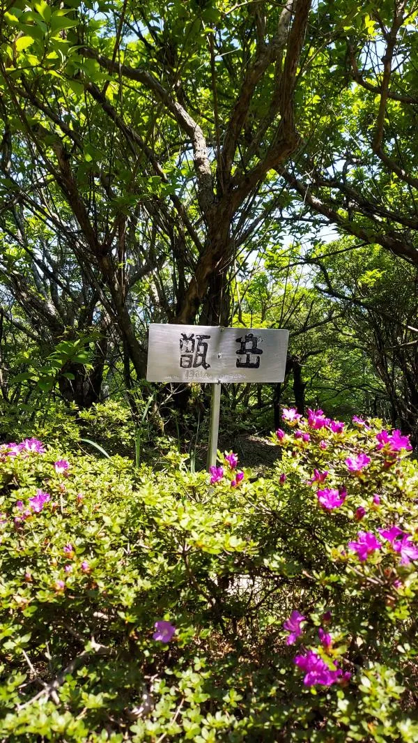 甑岳 1