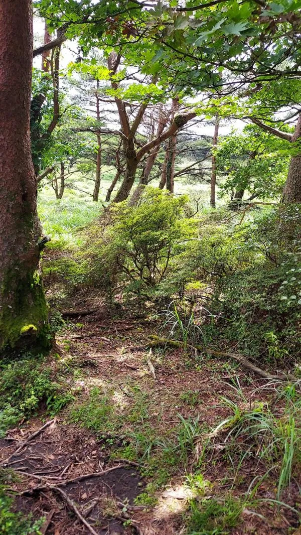 甑岳 2
