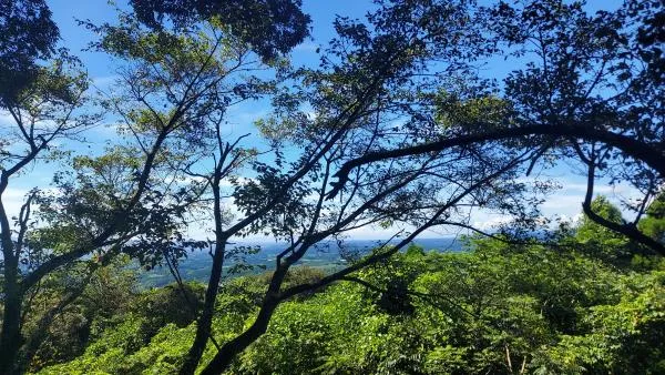 稲妻山 2