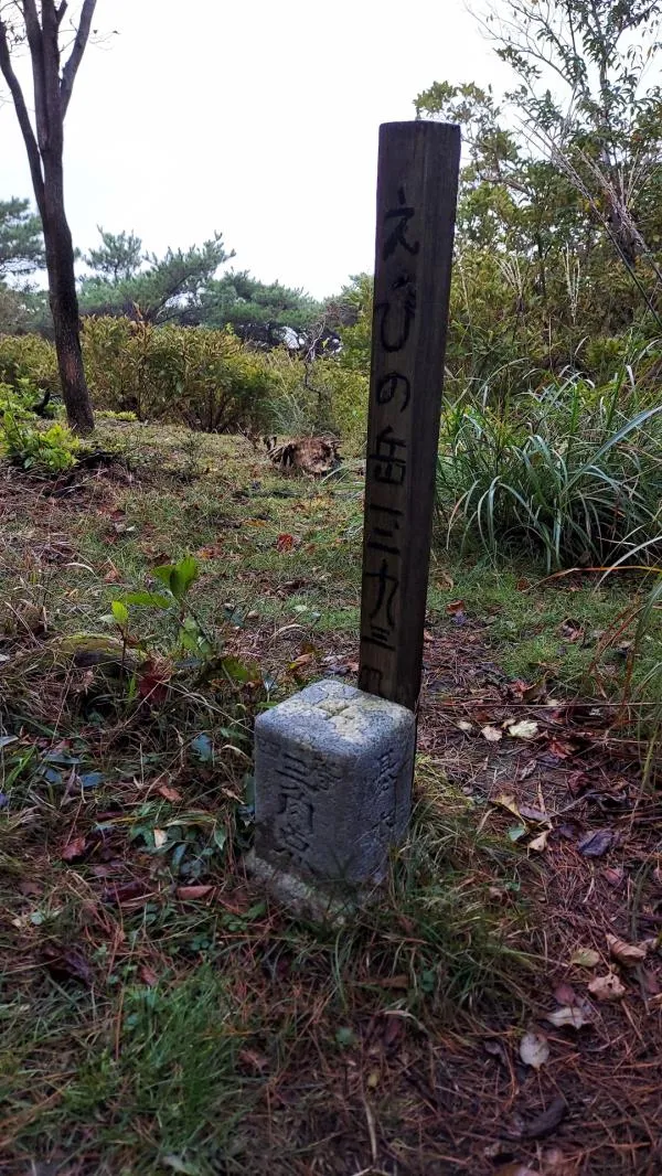 えびの岳 2