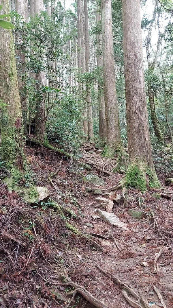 行縢山 2
