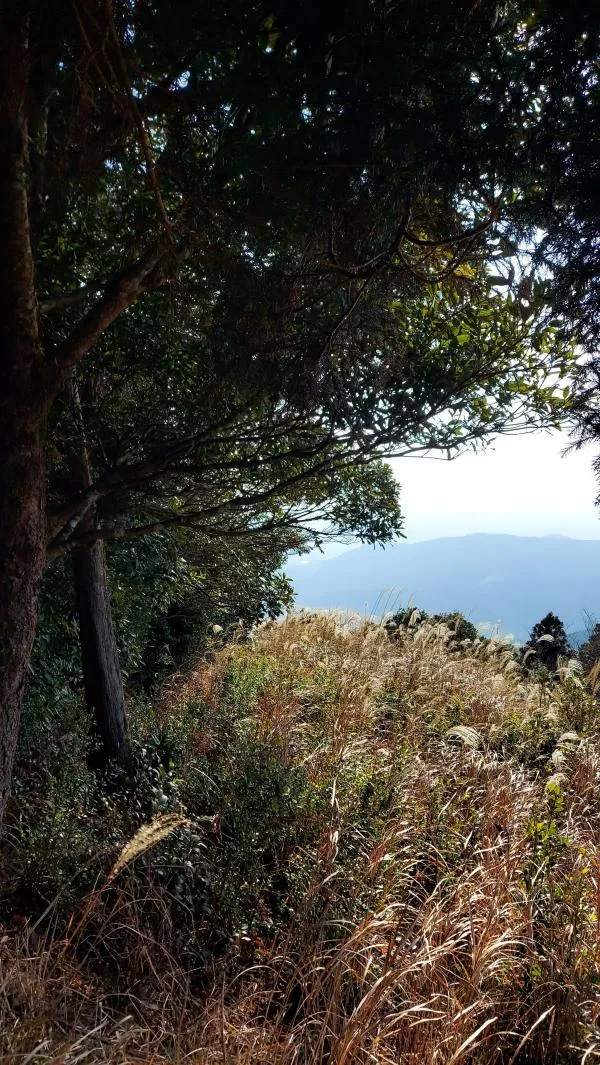 男鈴山・女鈴山 2