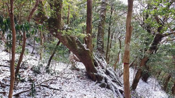 小松山 2