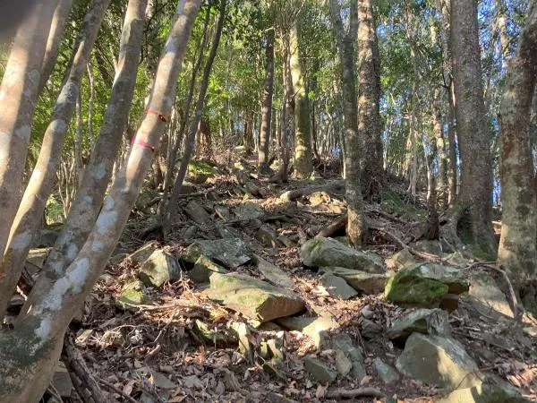 式部岳・掃部岳 2