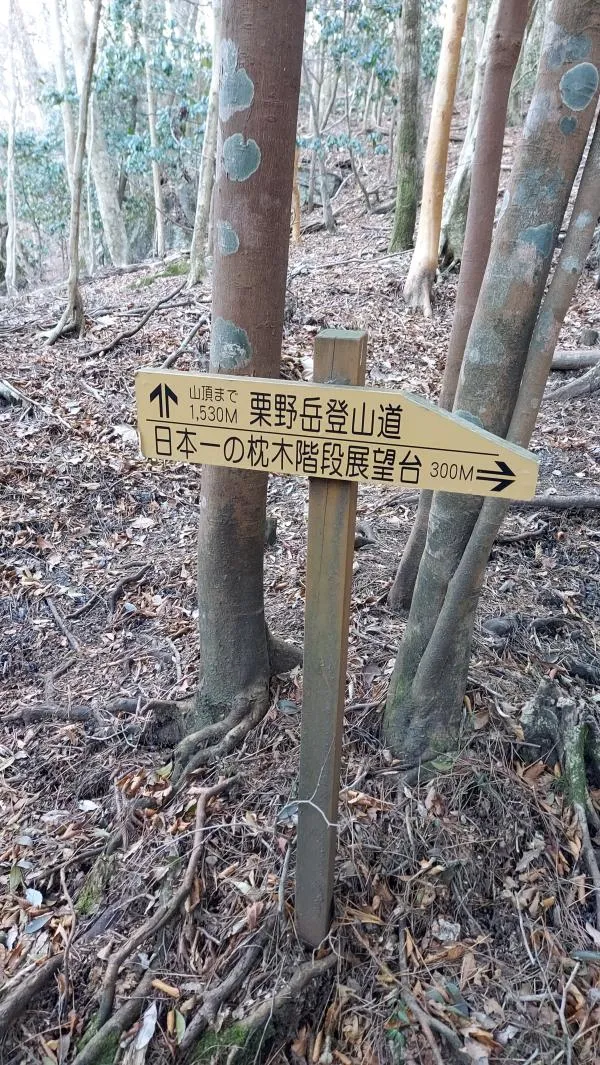 栗野岳 2