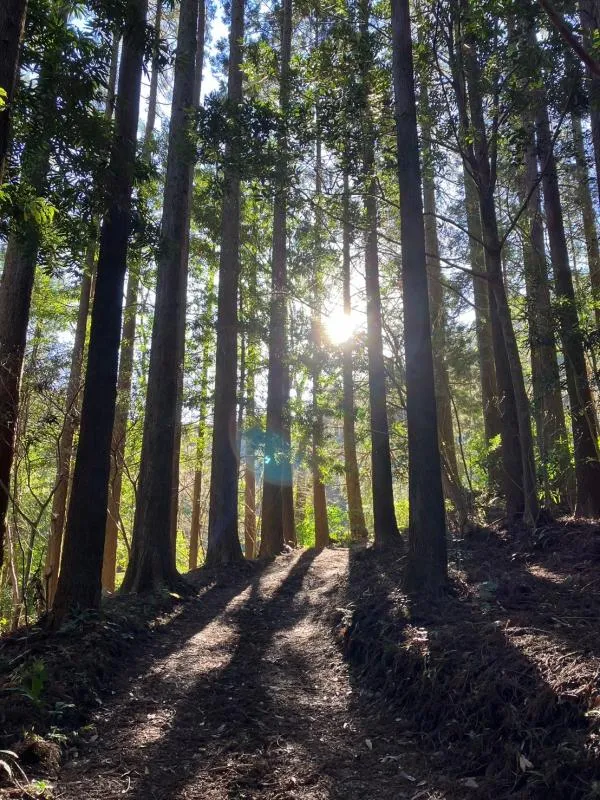 双石山 3