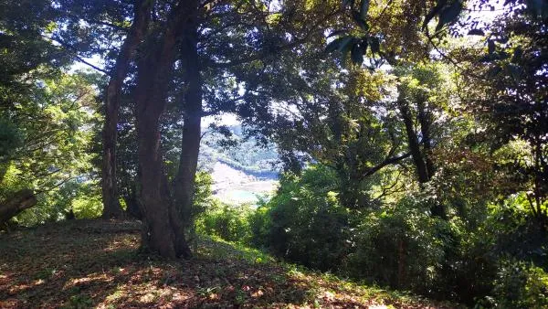 稲妻山 3