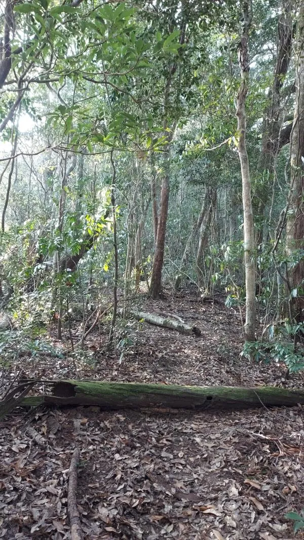 男鈴山・女鈴山 3