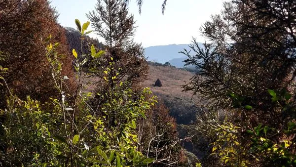 小松山 3