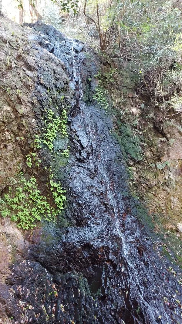 冠岳 3